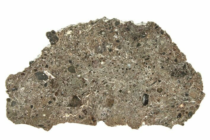Polished Lunar Meteorite Slice ( g) - Tisserlitine #280680